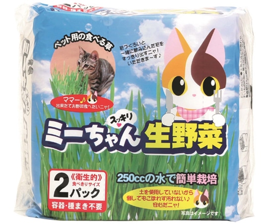 イデシギョー ミーちゃんスッキリ生野菜 2パック×10袋入 3220001 1箱（ご注文単位1箱）【直送品】