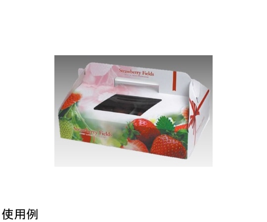 ヤマニパッケージ 青果・農産容器 ストロベリーフィールズ2P 100枚 L-2271 1ケース（ご注文単位1ケース）【直送品】