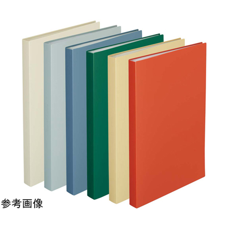 LIHITLAB Mutual クリヤーブック A4 ディープグリーン ポケット 40P N2401-7 1冊（ご注文単位1冊）【直送品】