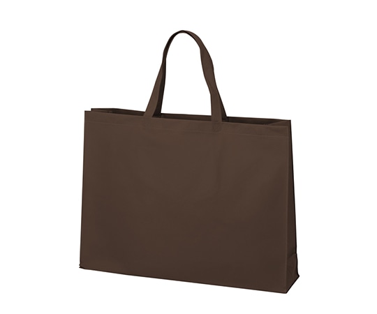 アズワン 不織布バッグ 角底 大 ダークブラウン 1箱(100枚入) LC0452AG00 1箱(ご注文単位1箱)【直送品】