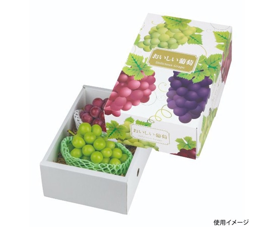 ヤマニパッケージ 青果用贈答箱 デリシャス葡萄 2k 50枚 L-2277 1ケース（ご注文単位1ケース）【直送品】