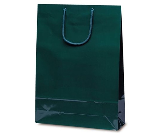 ベルベ 紙袋 エクセルバック ダークグリーン 50枚 1126 1ケース（ご注文単位1ケース）【直送品】