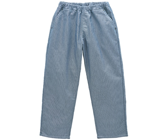 ボンマックス フリージーユニセックスフリーサイズパンツ ブルー F LCP69003 1枚（ご注文単位1枚）【直送品】