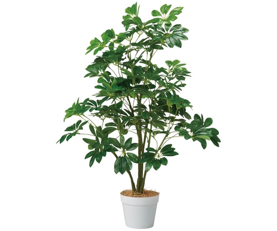 アズワン シェフレラ(フェイクグリーン 人工樹木)100cm 61-806-82-1 1個(ご注文単位1個)【直送品】