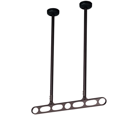 川口技研 ホスクリーン 軒天用 屋外物干し金物 ダークブロンズ 2本入 Z-215-DB 1セット（ご注文単位1セット）【直送品】