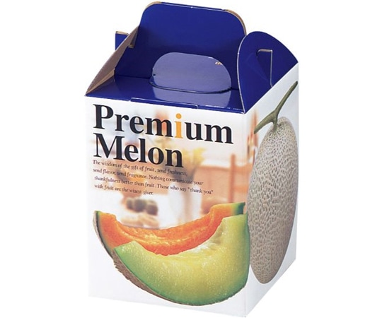 ヤマニパッケージ 青果用贈答箱 プレミアムメロン1個入 100枚 L-414 1ケース（ご注文単位1ケース）【直送品】