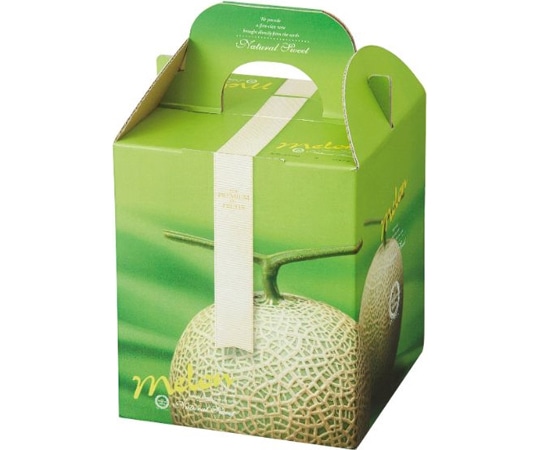 ヤマニパッケージ 青果用贈答箱 ジュエルメロン 1個入 100枚 L-2113 1ケース（ご注文単位1ケース）【直送品】