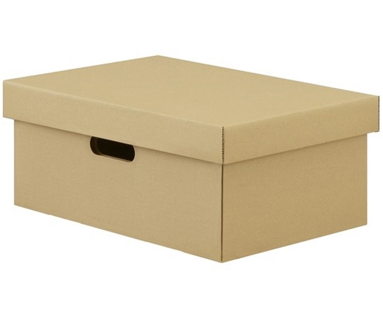 アイリスオーヤマ 段ボール収納ケース2枚セット クラフト DB-250 1箱（ご注文単位1箱）【直送品】