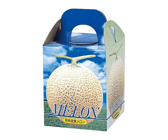 ヤマニパッケージ 青果用贈答箱 ピュアメロン 1個入 100枚 L-339 1ケース（ご注文単位1ケース）【直送品】