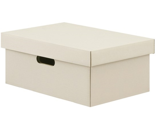 アイリスオーヤマ 段ボール収納ケース2枚セット ホワイト DB-250 1箱（ご注文単位1箱）【直送品】