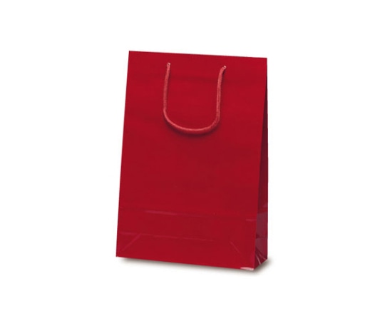 ベルベ 紙袋 ナイスバッグ ワイン 50枚 1153 1ケース（ご注文単位1ケース）【直送品】