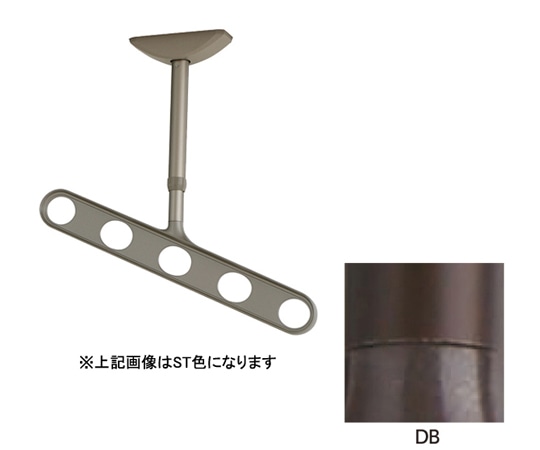 川口技研 ホスクリーン 軒天用 屋外物干し金物 ダークブロンズ 2本入 ZAN-0450-DB 1セット（ご注文単位1セット）【直送品】