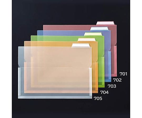 ライオン事務器 A4 インデックスホルダー(クリア/マチ付/4冊) EA762CF-705 1式(ご注文単位1式)【直送品】