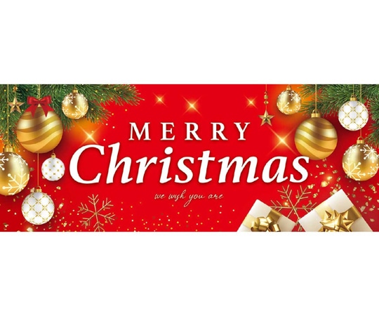 アズワン メリークリスマス パラポスター 両面 77×30cm 10枚入 38-119-11-1 1個(ご注文単位1個)【直送品】