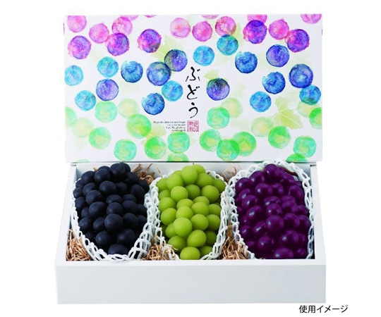 ヤマニパッケージ 青果用贈答箱 彩りぶどう 3房 40枚 L-2369 1ケース（ご注文単位1ケース）【直送品】