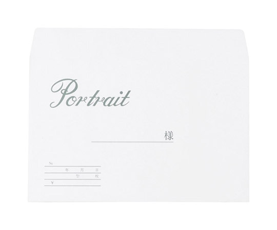 ハクバ写真産業 写真袋 2L(カビネ)サイズ 100枚入 MPB-2L 1セット(ご注文単位1セット)【直送品】