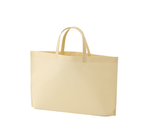 アズワン 不織布バッグ 底マチA4横 ベージュ 1箱(100枚入) LC0931NE00 1箱(ご注文単位1箱)【直送品】