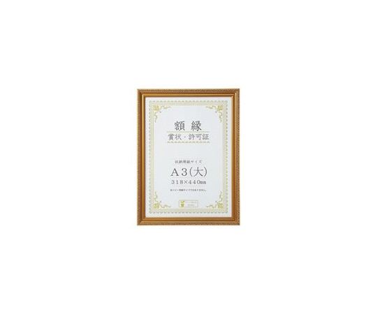 大仙 賞状額 金消 A3(大) 10枚 J045C3400 1パック(ご注文単位1パック)【直送品】