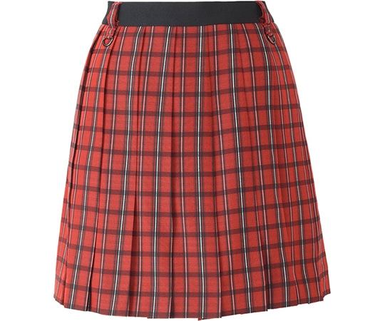 カーシーカシマ AMUS-NET スカート 259-1 LL AAS259 1枚（ご注文単位1枚）【直送品】