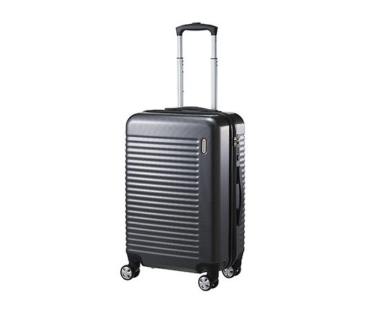 エース WorldTraveler ナタドラ 43L 05612-09 1個(ご注文単位1個)【直送品】