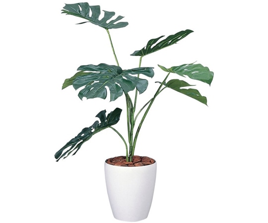 ナカキン 光触媒フェイクグリーン モンテスラ GF-MS90 1個（ご注文単位1個）【直送品】