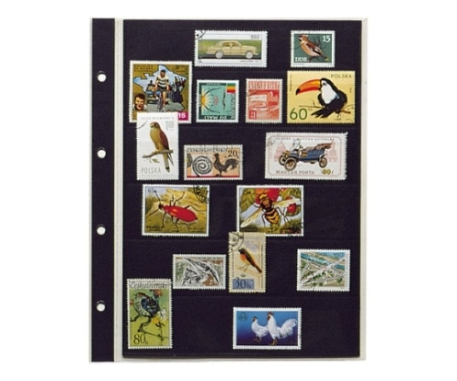 テージー スタンプアルバム用スペア SB-306S 1冊(ご注文単位1冊)【直送品】