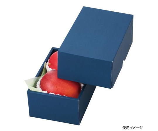 ヤマニパッケージ 青果用贈答箱 マンゴー 2個 ネイビー 100枚 L-2238 1ケース（ご注文単位1ケース）【直送品】