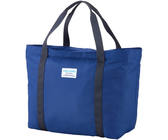 アイメディア コンパクトに畳めるキャリーオンバッグ 1010038 1個（ご注文単位1個）【直送品】