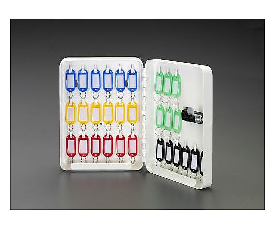 ケイデン・セキュリティー 187x 75x250mm キーボックス(ダイヤルロック式/30本用) EA956VE-62 1個(ご注文単位1個)【直送品】