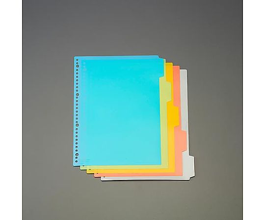アズワン A4判  カラーインデックス(PPシート/5色入) EA762CS-21 1冊(ご注文単位1冊)【直送品】