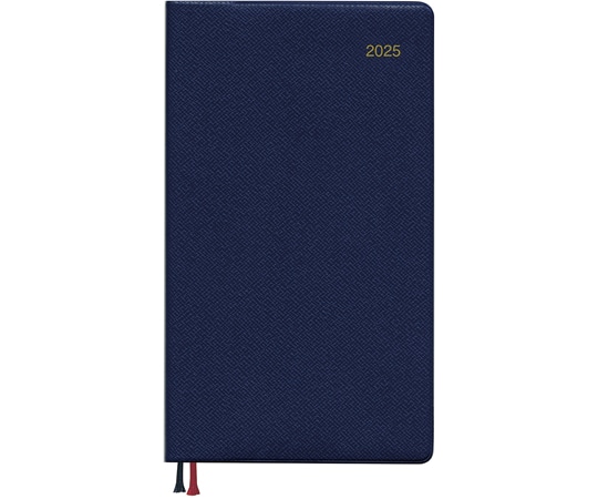 ダイゴー 2025 アポイント A6スリム 1W+横罫 ブルー E8465(2025) 1冊(ご注文単位1冊)【直送品】