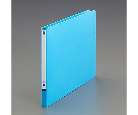 ライオン事務器 A4/E型 パームファイル(青/10冊) EA762CF-40 1箱(ご注文単位1箱)【直送品】