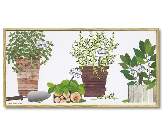 ユーパワー モダン キャンバスアート ハーブ コレクション｢ハーブ セットA(Mサイズ)｣ YP-03521 1個（ご注文単位1個）【直送品】
