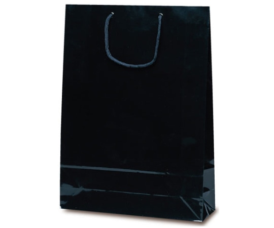 ベルベ 紙袋 エクセルバッグ ブラック 50枚 1101 1ケース（ご注文単位1ケース）【直送品】