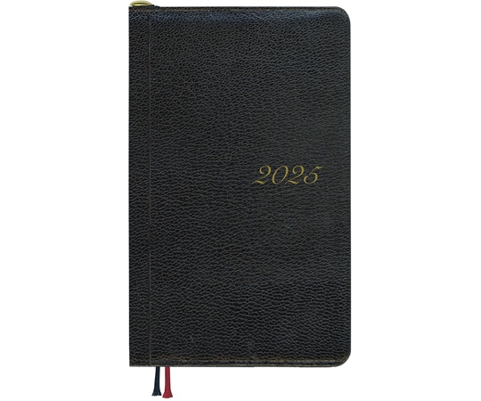 ダイゴー 2025 アポイントプレミアム 1W+横罫 鉛筆付 E8218(2025) 1冊(ご注文単位1冊)【直送品】