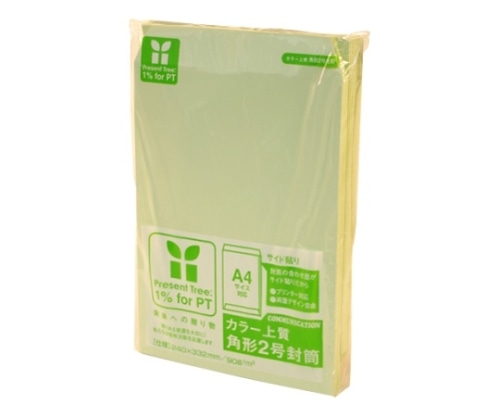 寿堂 カラー上質封筒(サイド貼り)角2 ワカクサ 2163 1枚(ご注文単位1枚)【直送品】