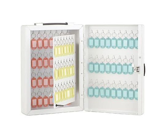 ナカバヤシ 258x95x372mm キーボックス(100本用) EA956VG-5 1個(ご注文単位1個)【直送品】