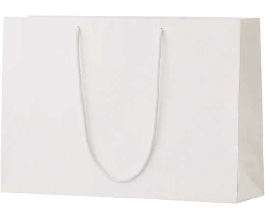 丸玉工業 シャイニーバッグ L-W ホワイト 50枚入  1ケース（ご注文単位1ケース）【直送品】