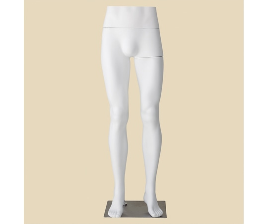 アズワン PP製 紳士パンツトルソー 白 61-810-45-1 1個（ご注文単位1個）【直送品】