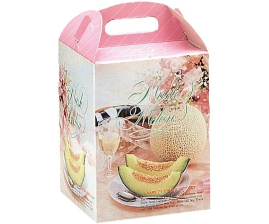 ヤマニパッケージ 青果用贈答箱 ドリームメロン 1個入 100枚 L-200B 1ケース（ご注文単位1ケース）【直送品】