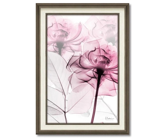 ユーパワー X RAY キャンバスアート｢ピンクローズ(Mサイズ)｣ XR-12012 1個（ご注文単位1個）【直送品】