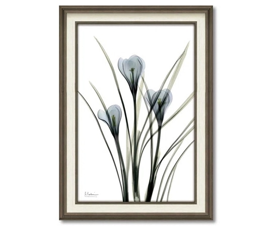 ユーパワー X RAY キャンバスアート｢クロッカス(Mサイズ)｣ XR-12019 1個（ご注文単位1個）【直送品】