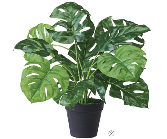 アズワン グリーンポット(フェイクグリーン) モンステラ 61-655-68-2 1個(ご注文単位1個)【直送品】