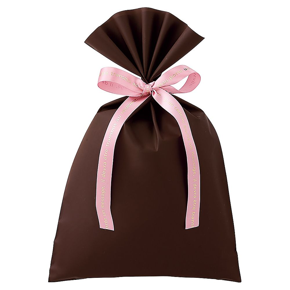 アズワン 無地 梨地ギフトバッグ ブラウン 幅20×高さ32cm 20枚 61-811-43-1 1セット（ご注文単位1セット）【直送品】