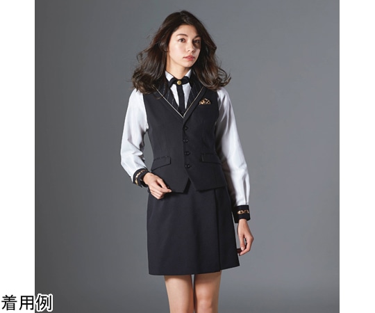 カーシーカシマ AMUS-NET キュロット 9号 AAR268 1枚（ご注文単位1枚）【直送品】