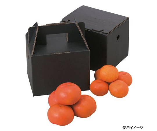 ヤマニパッケージ 青果用贈答箱 美果2kg 100枚 L-2061 1ケース（ご注文単位1ケース）【直送品】