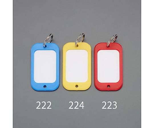 アズワン 55x95mm ネームタグ(特大/赤) EA956VL-223 1個(ご注文単位1個)【直送品】