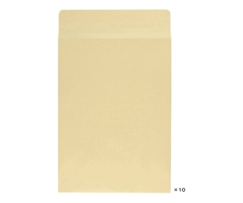 寿堂 クラフト封筒 1袋(10枚入) 10047 1袋(ご注文単位1袋)【直送品】