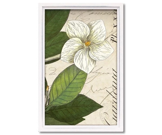 ユーパワー ロハス ミニアートフレーム ワイルド アップル スタジオ｢ボタニーク ブルー3｣ LA-01711 1個（ご注文単位1個）【直送品】