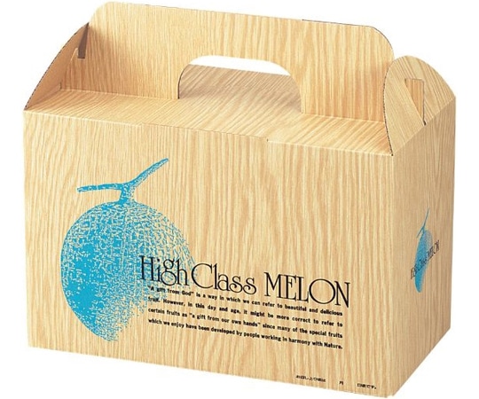ヤマニパッケージ 青果用贈答箱 ハイクラスメロン2 100枚 L-238 1ケース(ご注文単位1ケース)【直送品】